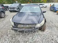 2009 Honda Accord фото