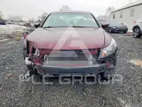 2009 Honda Accord фото