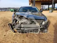 2009 Honda Accord фото