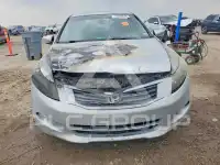 2009 Honda Accord photo