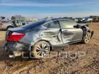 2009 Honda Accord фото