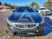 2009 Honda Accord photo