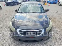 2009 Honda Accord photo