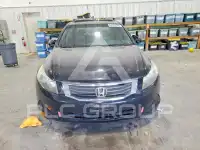 2009 Honda Accord фото