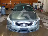 2009 Honda Accord фото