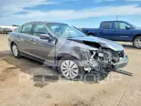 2009 Honda Accord photo
