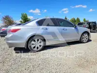 2009 Honda Accord фото
