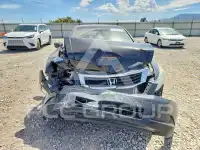 2009 Honda Accord фото