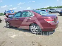 2009 Honda Accord фото