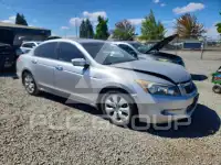 2009 Honda Accord фото