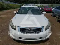 2009 Honda Accord фото