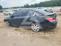 2009 Honda Accord фото