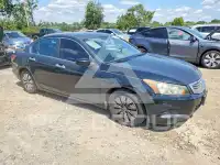2009 Honda Accord фото