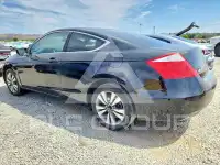 2009 Honda Accord фото