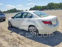 2009 Honda Accord photo