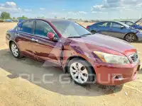 2009 Honda Accord фото