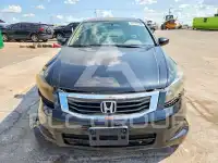 2009 Honda Accord фото