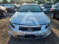 2009 Honda Accord фото