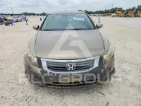 2009 Honda Accord фото