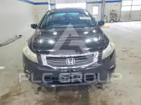 2009 Honda Accord фото