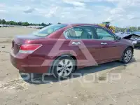 2009 Honda Accord фото