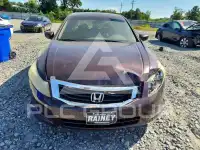 2009 Honda Accord фото