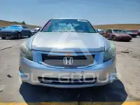 2009 Honda Accord фото