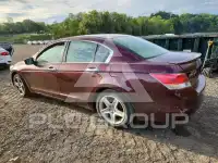 2009 Honda Accord фото