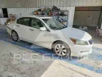 2009 Honda Accord photo