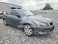 2009 Honda Accord фото