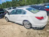 2009 Honda Accord фото