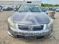 2009 Honda Accord фото