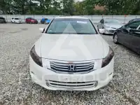 2009 Honda Accord photo