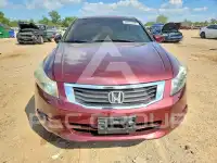 2009 Honda Accord фото