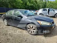 2009 Honda Accord фото