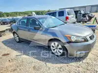 2009 Honda Accord photo
