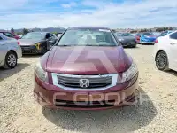 2009 Honda Accord фото