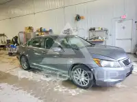 2009 Honda Accord photo