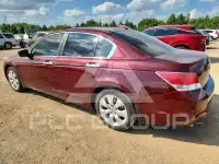 2009 Honda Accord фото