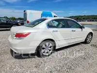 2009 Honda Accord фото