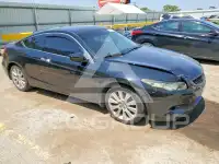 2009 Honda Accord фото