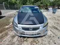 2009 Honda Accord photo