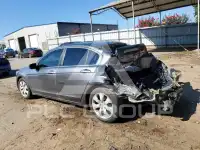 2009 Honda Accord фото