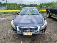 2009 Honda Accord фото