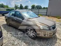 2009 Honda Accord фото