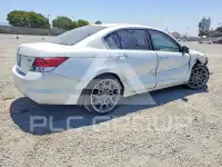 2009 Honda Accord photo