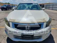2009 Honda Accord photo