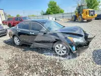2009 Honda Accord фото