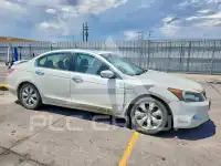 2009 Honda Accord photo