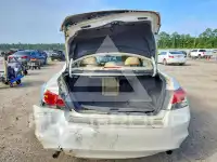 2009 Honda Accord photo